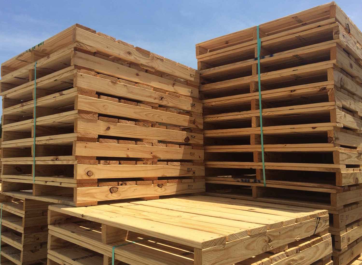 Nên đầu tư pallet 1 mặt hay 2 mặt?